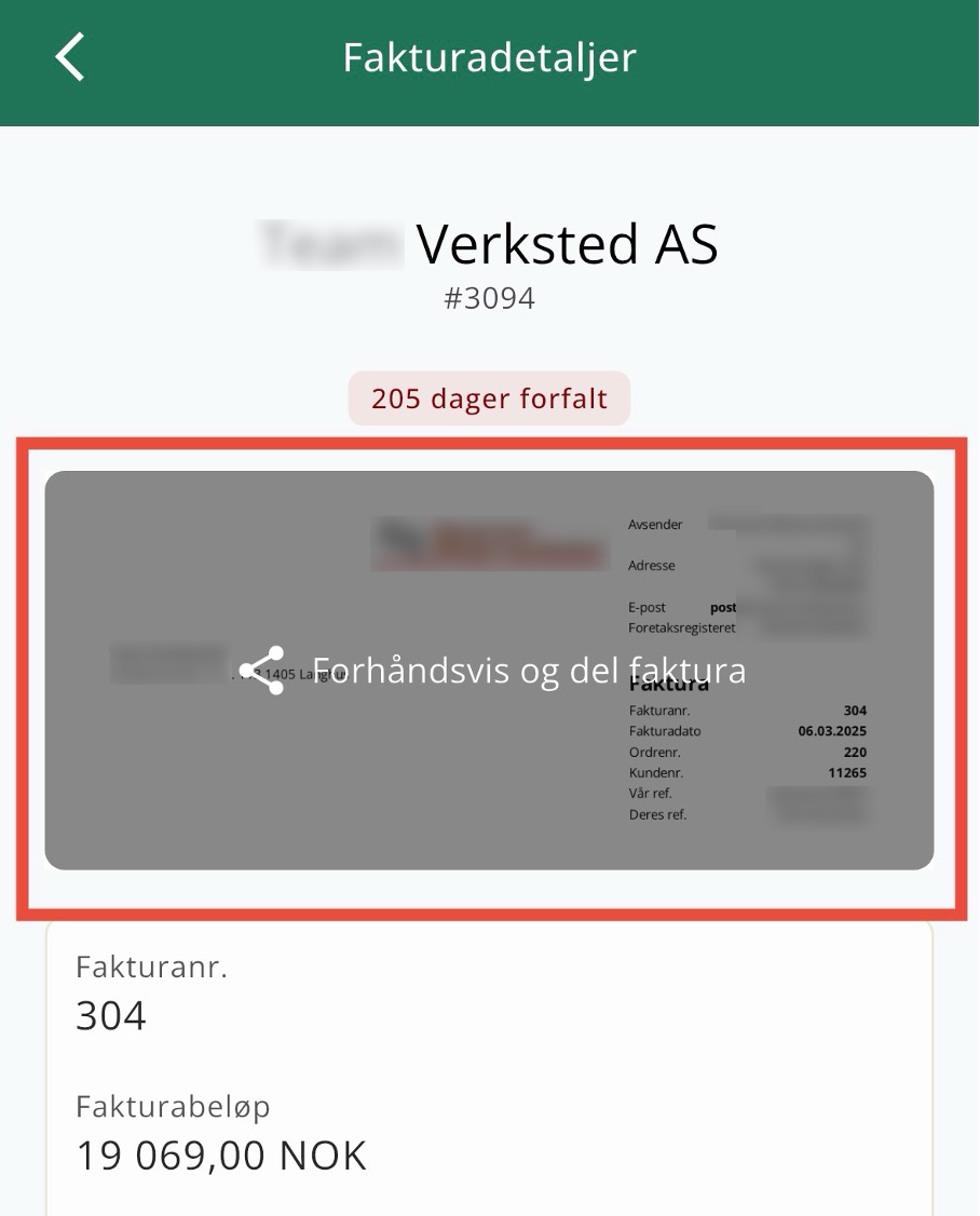 Fakturadetaljer